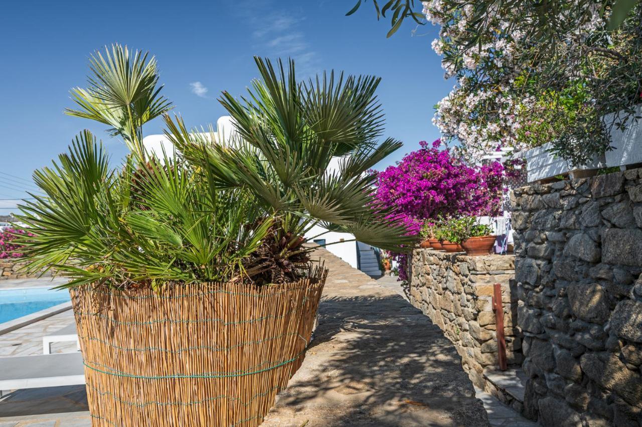 Villa Casa Cozy Mykonos Town Exterior foto