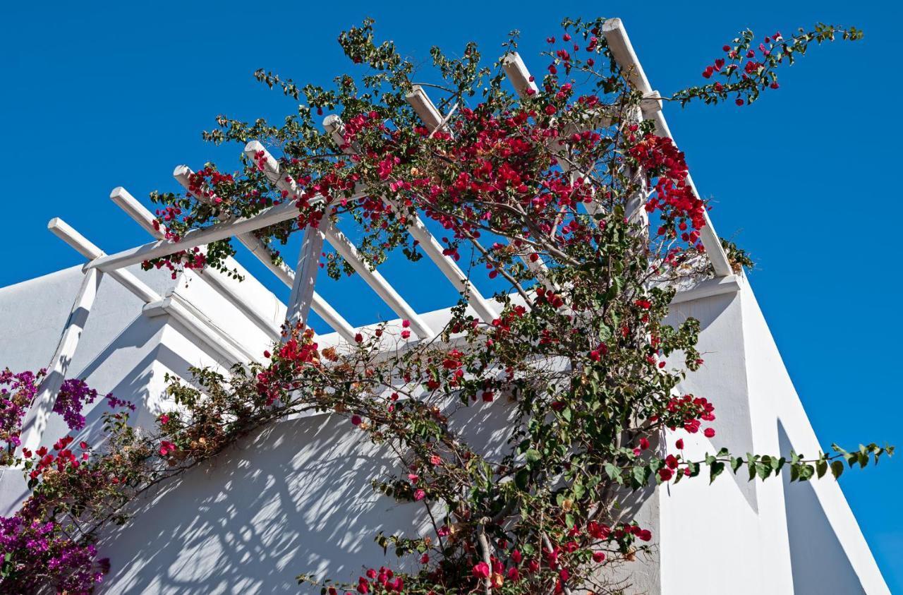 Villa Casa Cozy Mykonos Town Exterior foto