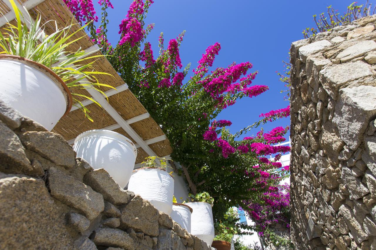 Villa Casa Cozy Mykonos Town Exterior foto